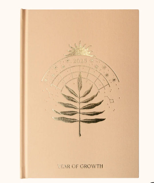 Dreamy Moons 2025 Year of Growth Diary, Daily Planner, 2025 Journal, 2025 Astrology Diary