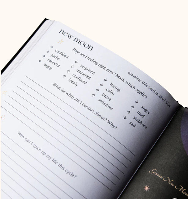 Dreamy Moons 2025 Year of Growth Diary, Daily Planner, 2025 Journal, 2025 Astrology Diary